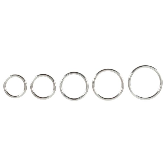 Bad Kitty - metalni set prstenova za penis (5 dijelova)