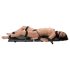 You2Toys - Bondage Board - prijenosni set za vezanje (13 dijelova)