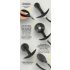 You2Toys - analni čep s pumpicom i kuglicama (crni)