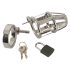 You2Toys - Chastity Cage - metalna penisna kućica s lokotom