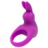 Happyrabbit Cock Kit - vibracijski prsten s pohranom (ljubičasti)