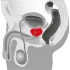 You2Toys - masažer prostate - rotirajući vibrator za prostatu - crni