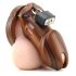 CB-6000 - luksuzna kavezica za penis s lokotom (drvo)