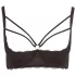 Cottelli Plus Size - grudnjak s naramenicama i prstenovima - crna - 95D