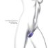 Wonderlover G-točka vibrator (metal ljubičasta)