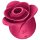 Satisfyer Pro 2 Rose Modern - zračna stimulacija klitorisa (crvena)