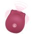 EIS Blush&Bloom - vibrator sa usisavanjem i vibracijama - crveni
