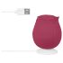 EIS Blush&Bloom - vibrator sa usisavanjem i vibracijama - crveni