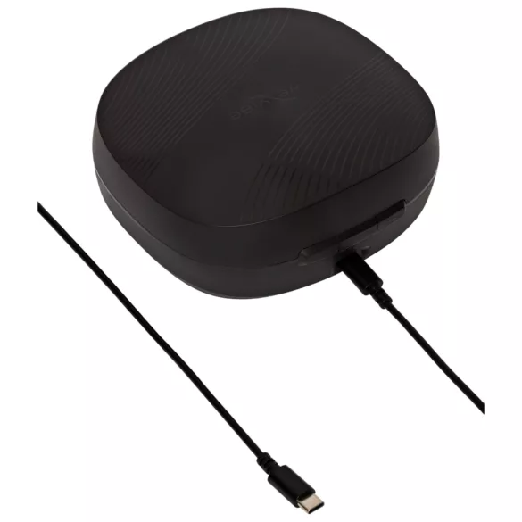 We-Vibe Chorus Pro - vibrator za parove s daljinskim upravljačem - pametan