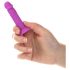 Silly Willy - šareni silikonski dildo s podlogom, set od 12 komada