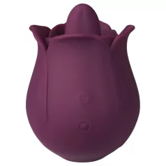   Amaysin - jezičasta ružičasta klitoralna vibrator (ljubičasta)