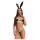 Obsessive Night Bunny - četverodijelni kostim zeca za žene (crni)