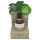 Coconutoil - Bio ulje za depilaciju & njegu posle brijanja (50ml)