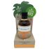 Coconutoil - Bio Bronze Ulje (80ml)
