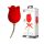 Pretty Love Rose Lover - 2u1 vibrator s jezikom (crveni)