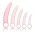 CalExotics Inspire - set za vaginalno proširenje - medicinski silikon - roza