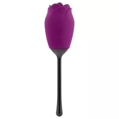   Playboy - vibrator s jezikom - vodootporan akumulatorski - ljubičasti