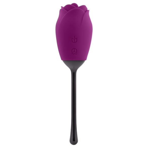 Playboy - vodootporni jezikoviti ružičasti vibrator (ljubičasti)