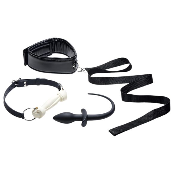 TAILZ Štene Igra Set - analni dildo set (4 komada)