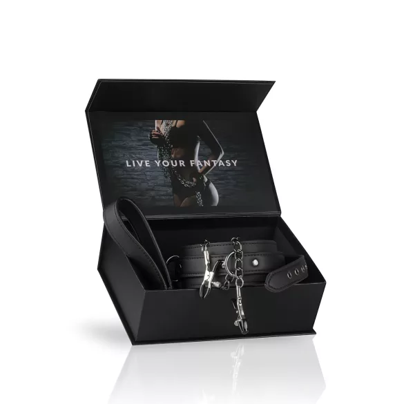 Easytoys - set za bradavice s ogrlicom i povodcem - 4 dijela