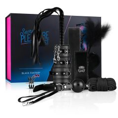 Tajna strast kutija - napredni BDSM set - 14 dijelova (crna)
