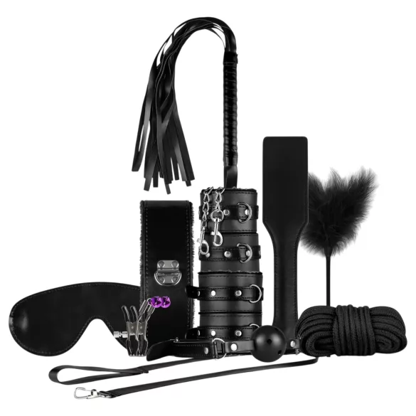Secret Pleasure Chest - napredni BDSM set - 14-dijelni (crni)