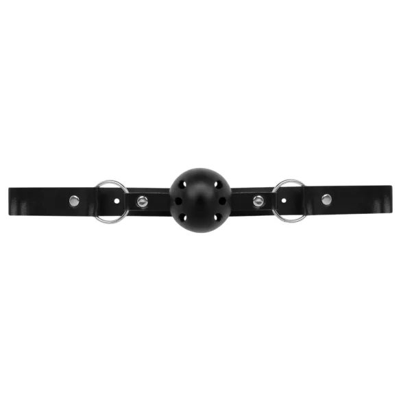Secret Pleasure Chest - napredni BDSM set - 14-dijelni (crni)