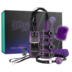Secret Pleasure Chest - napredni BDSM set (14-dijelni)