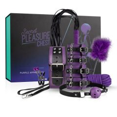 Secret Pleasure Chest - napredni BDSM set (14 komada)