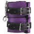 Secret Pleasure Chest - BDSM set za napredne - 14 dijelova