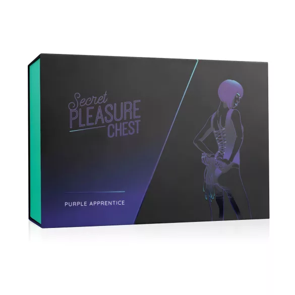 Secret Pleasure Chest - BDSM set za napredne - 14 dijelova