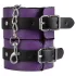 Secret Pleasure Chest - BDSM set za napredne - 14 dijelova