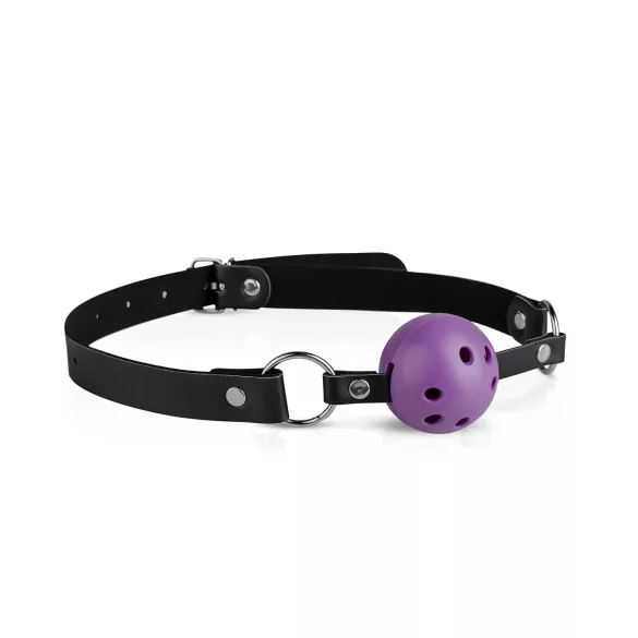 Secret Pleasure Chest - BDSM set za napredne - 14 dijelova