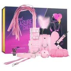   Secret Pleasure Chest - napredni BDSM set - 14-dijelni (rozi)