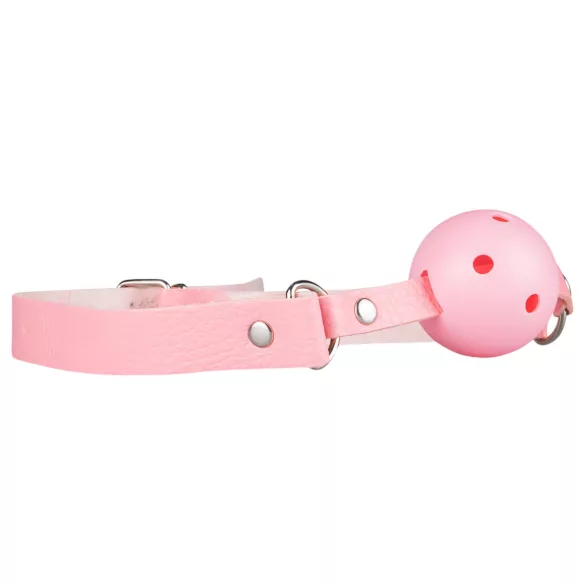 Secret Pleasure Chest - BDSM set za napredne - 14 dijelova - roza