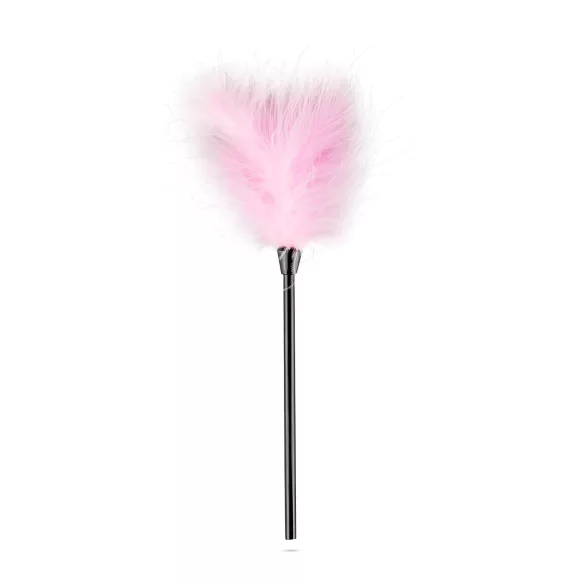 Secret Pleasure Chest - BDSM set za napredne - 14 dijelova - roza