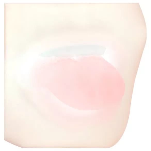 FWB - masturbator usta i vagina - realistični materijal - natur