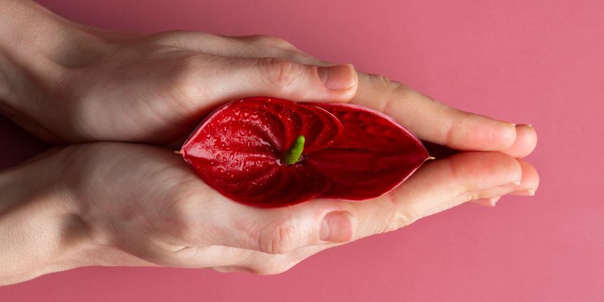 Klitoralna stimulacija s diskretnom igračkom za užitak, lovesexshop.hr sex shop